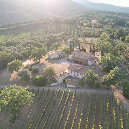 Agriturismo Belvedere Di Pierini E Brugi Campagnatico Zewnętrze zdjęcie
