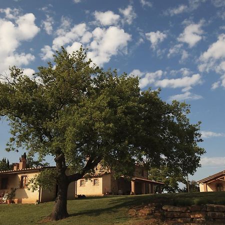 Agriturismo Belvedere Di Pierini E Brugi Campagnatico Zewnętrze zdjęcie