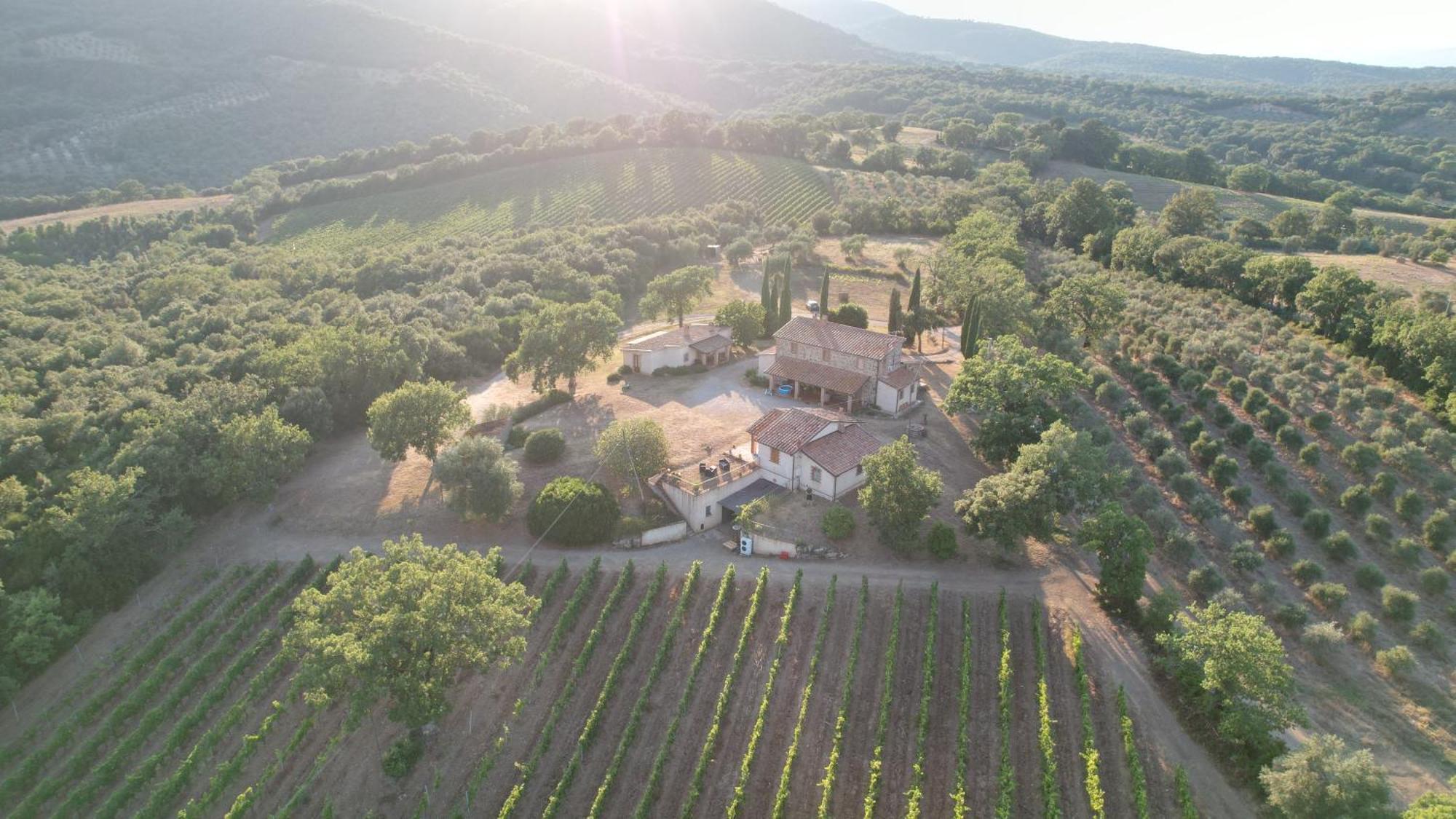 Agriturismo Belvedere Di Pierini E Brugi Campagnatico Zewnętrze zdjęcie