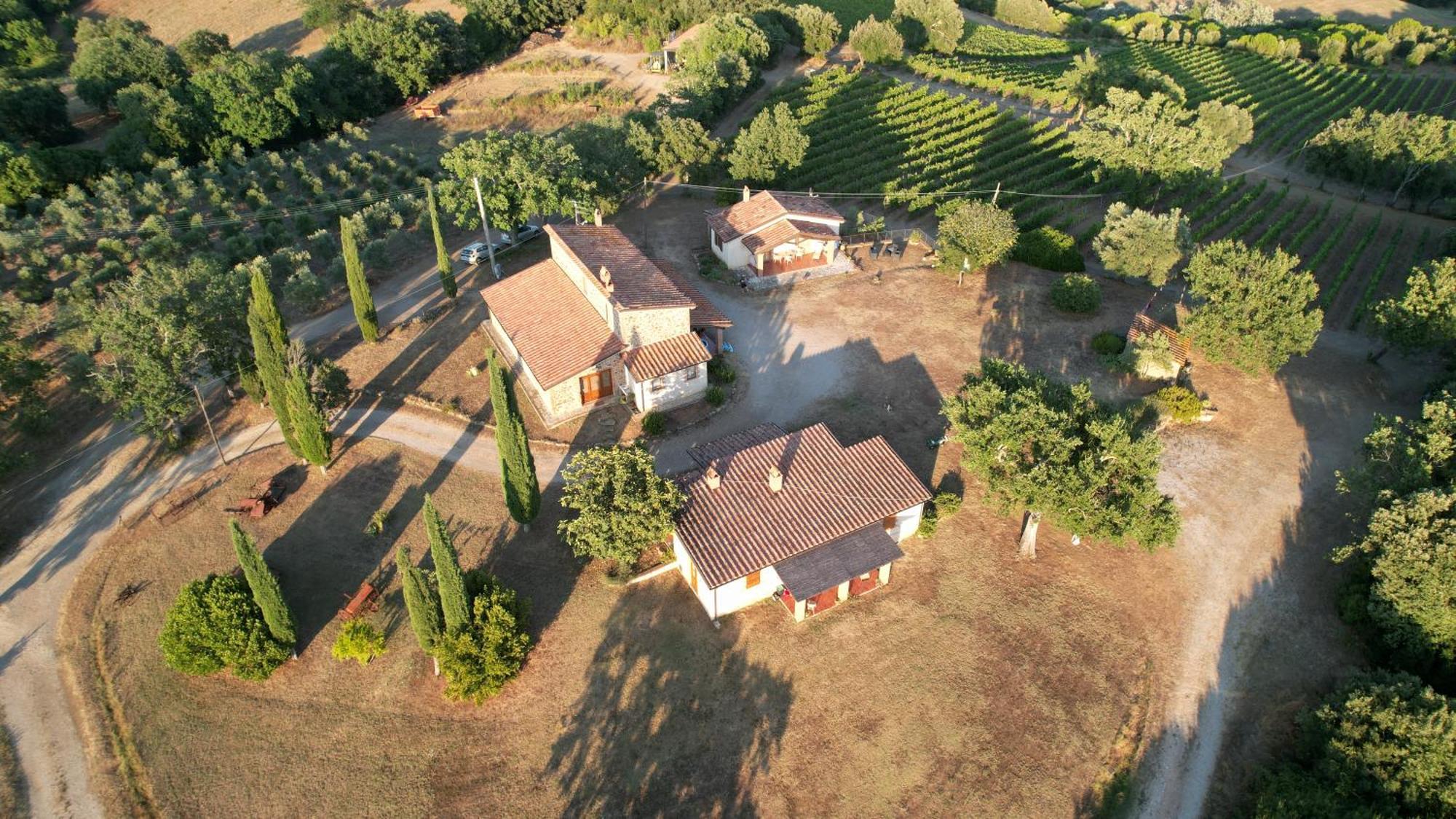 Agriturismo Belvedere Di Pierini E Brugi Campagnatico Zewnętrze zdjęcie
