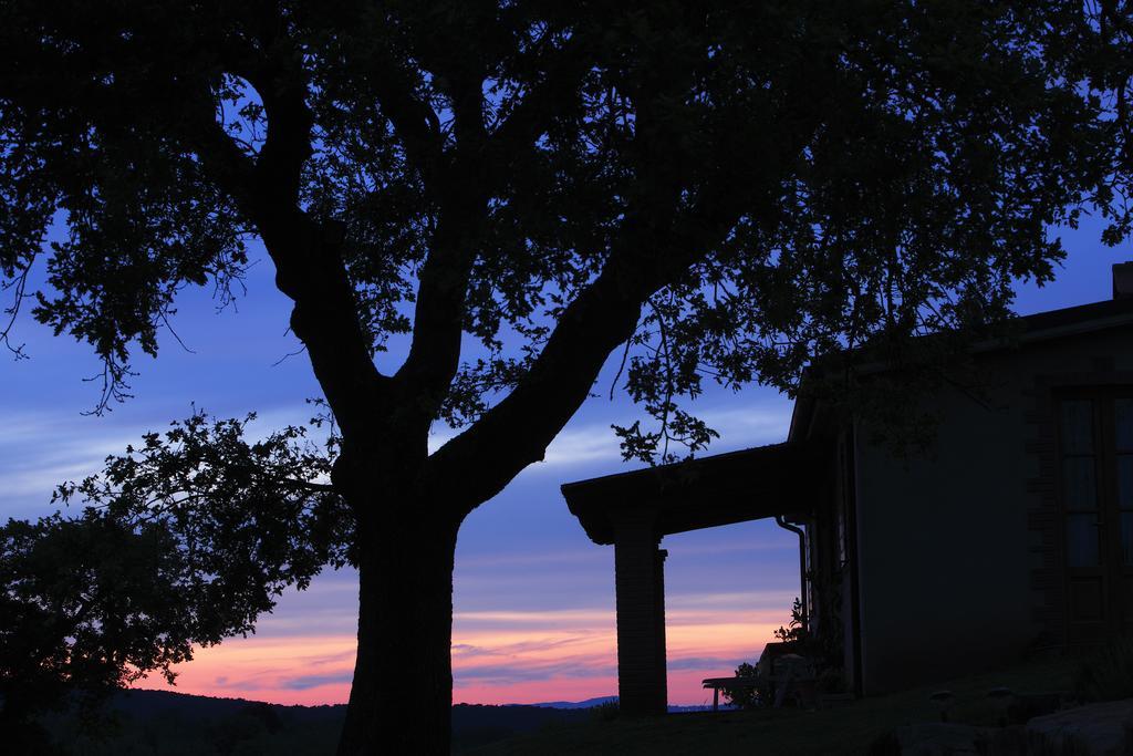 Agriturismo Belvedere Di Pierini E Brugi Campagnatico Pokój zdjęcie