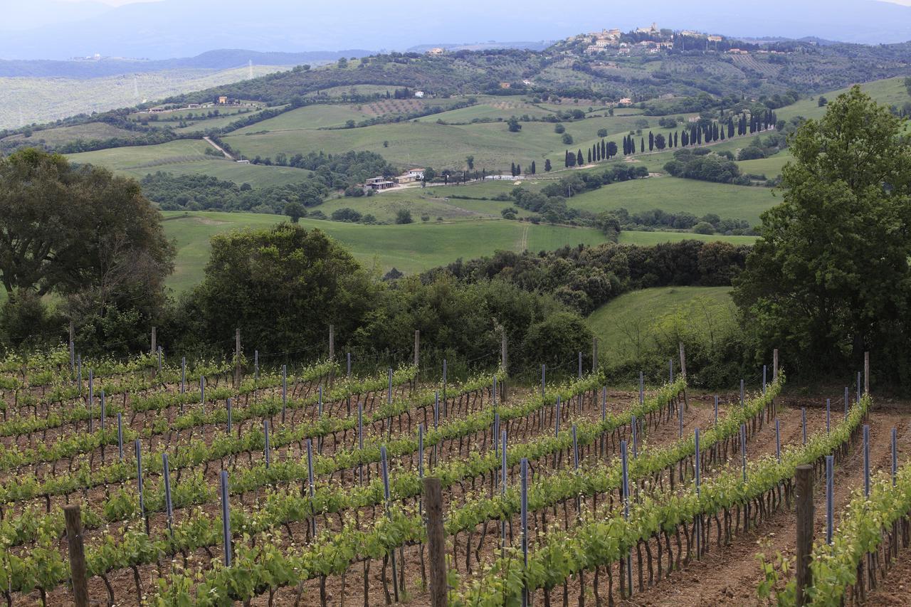 Agriturismo Belvedere Di Pierini E Brugi Campagnatico Zewnętrze zdjęcie