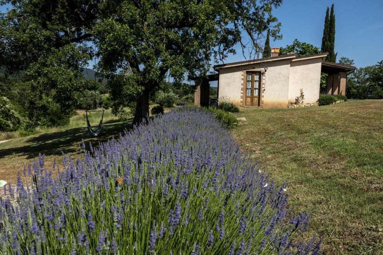 Agriturismo Belvedere Di Pierini E Brugi Campagnatico Zewnętrze zdjęcie